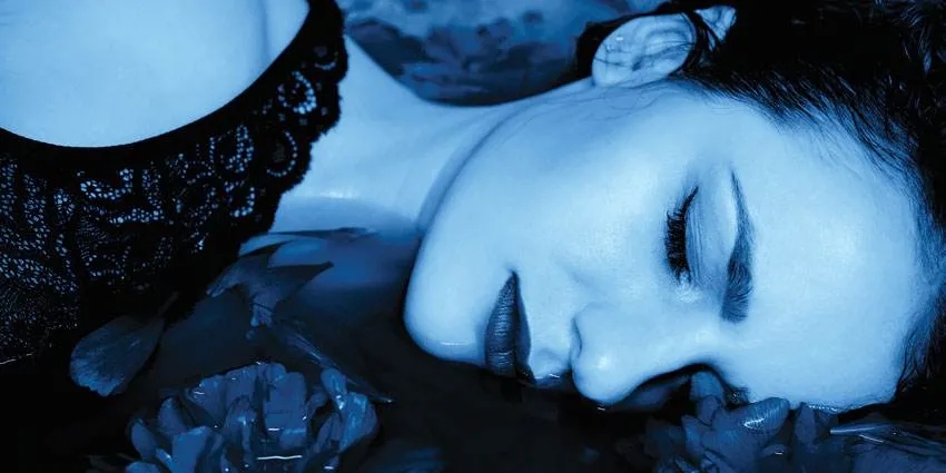 宏陶瓷砖睡美人图