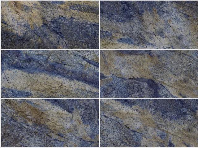 宏陶蓝色玫瑰瓷砖图