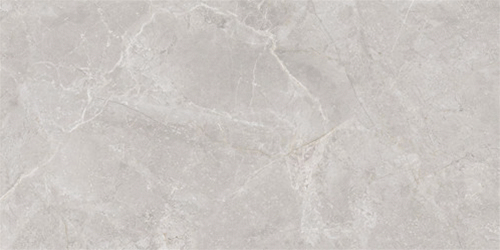 宏陶瓷砖瓷片型号：W60020EP-WH（二合一）