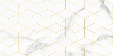 宏陶瓷砖瓷片型号：2A60920